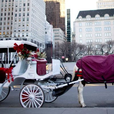 New York City to end iconic horse-drawn carriage rides after teenager’s death